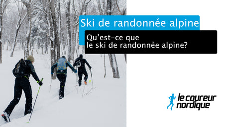 Le ski de randonnée alpine