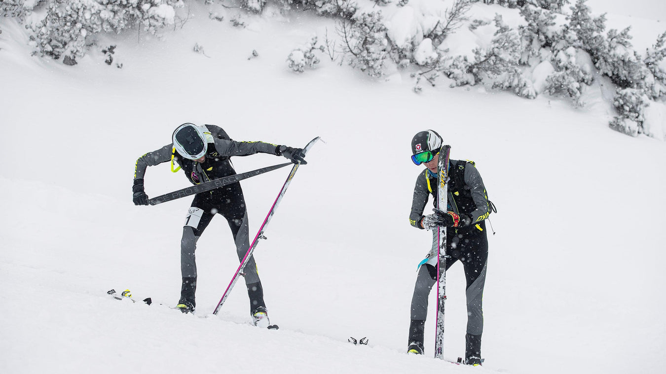 Accessoires de ski de montagne (skimo) - Le coureur nordique