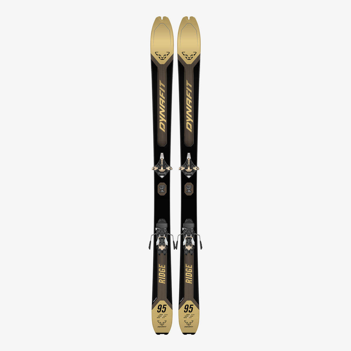 Dynafit - Ridge 95 touring ski