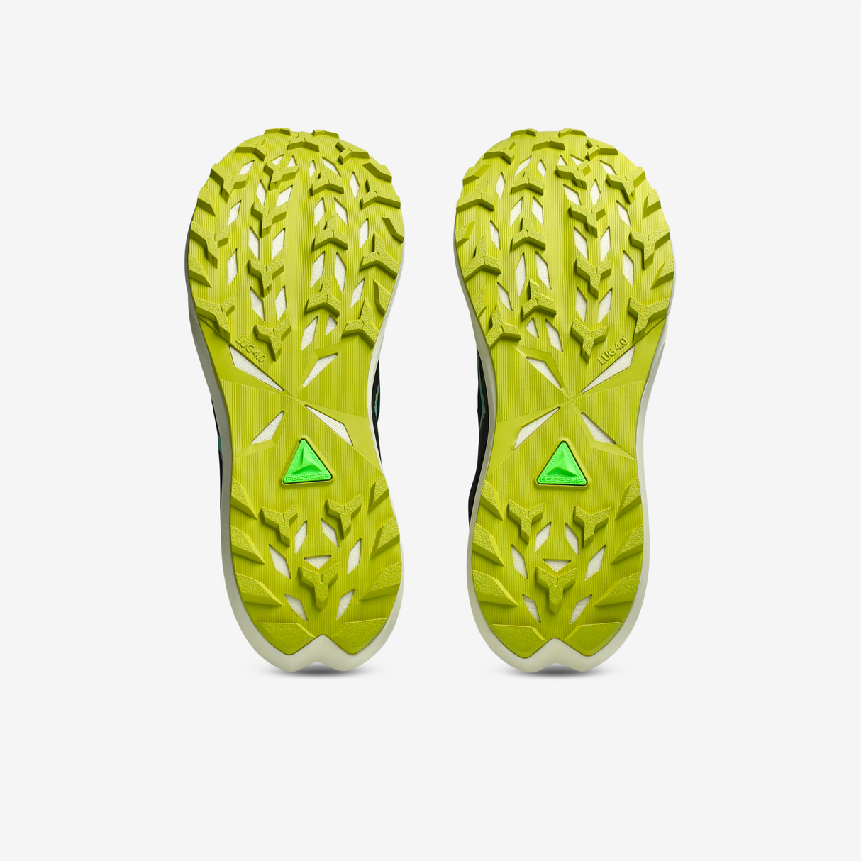 Asics - Fuji Lite 6 - Homme