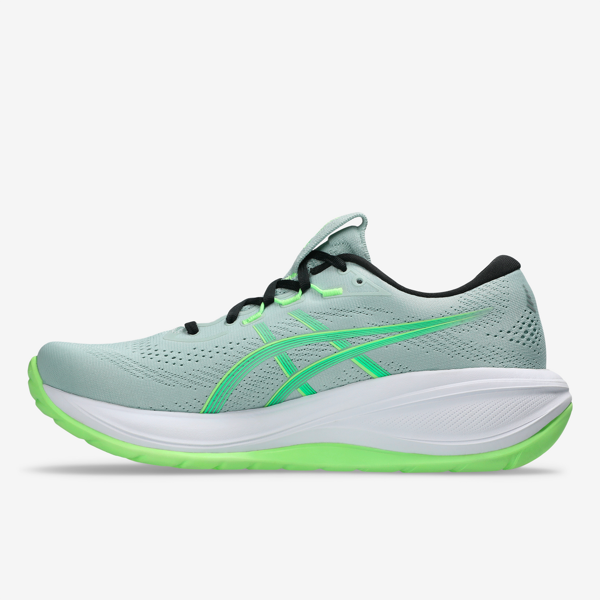Asics - Gel-Cumulus 28 - Homme