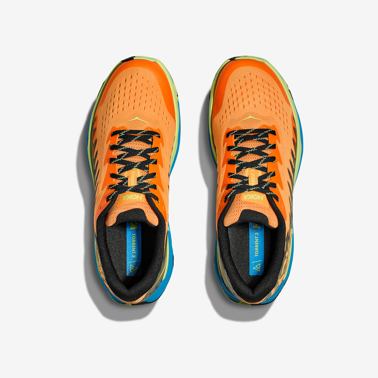 Hoka - Torrent 3 (2024) - Man