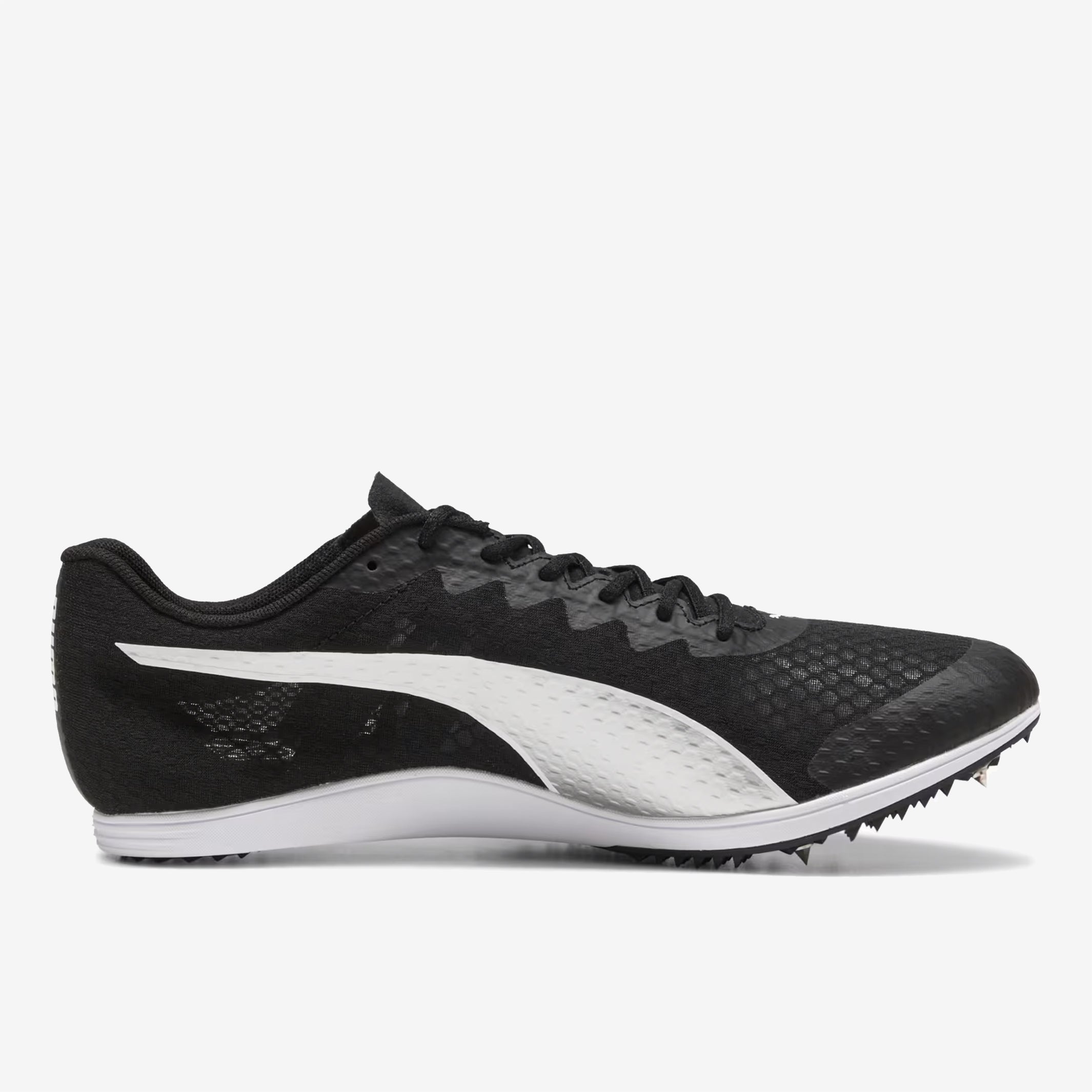 Puma - Evospeed Distance 11 - Unisex – Le coureur nordique