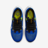 Nike Air Zoom Pegasus 40 Men