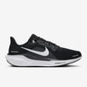 Nike - Pegasus 41 - Large - Men's