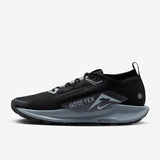 Nike - Pegasus Trail 5 Gore-Tex - Men's