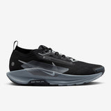 Nike - Pegasus Trail 5 Gore-Tex - Men's