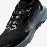 Nike - Pegasus Trail 5 Gore-Tex - Men's