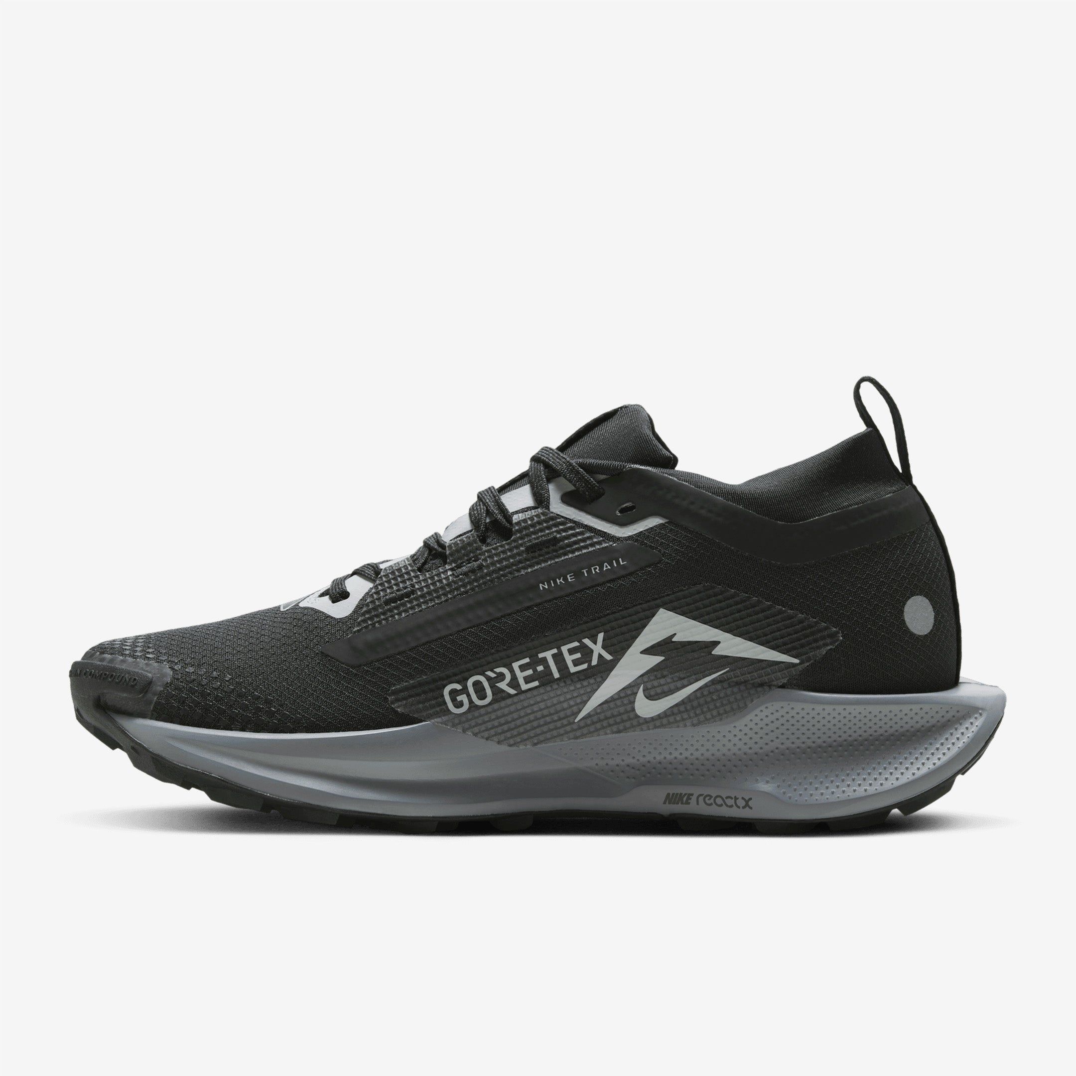 Nike - Pegasus Trail 5 Gore-Tex - Women's – Le coureur nordique