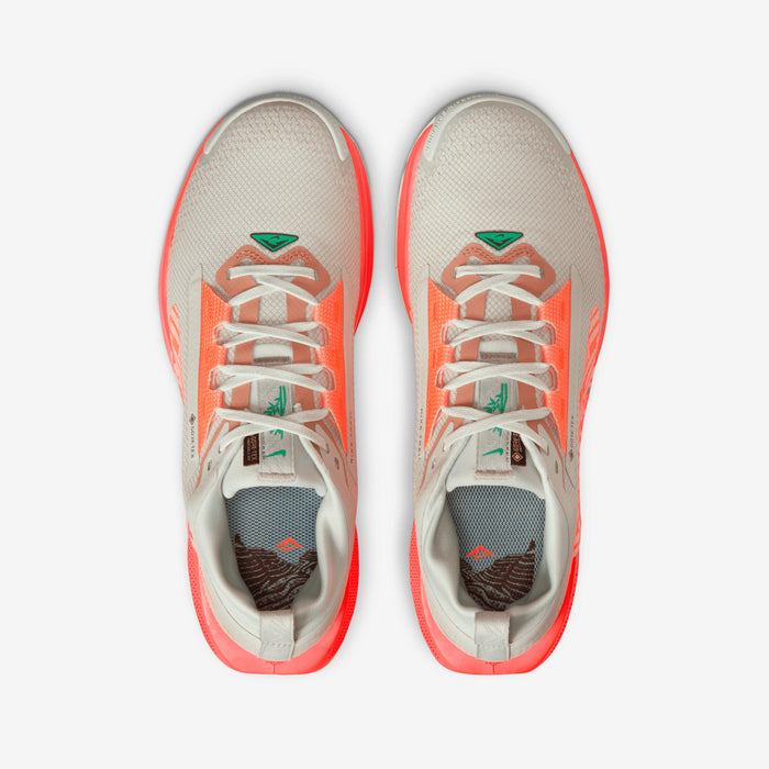 Nike - Pegasus Trail 5 Gore-Tex - Femme