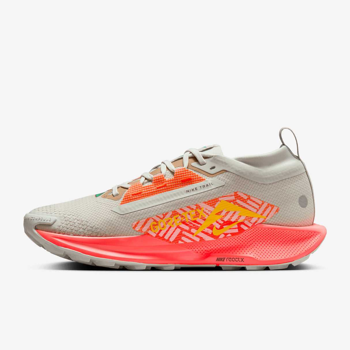 Nike - Pegasus Trail 5 Gore-Tex - Women's