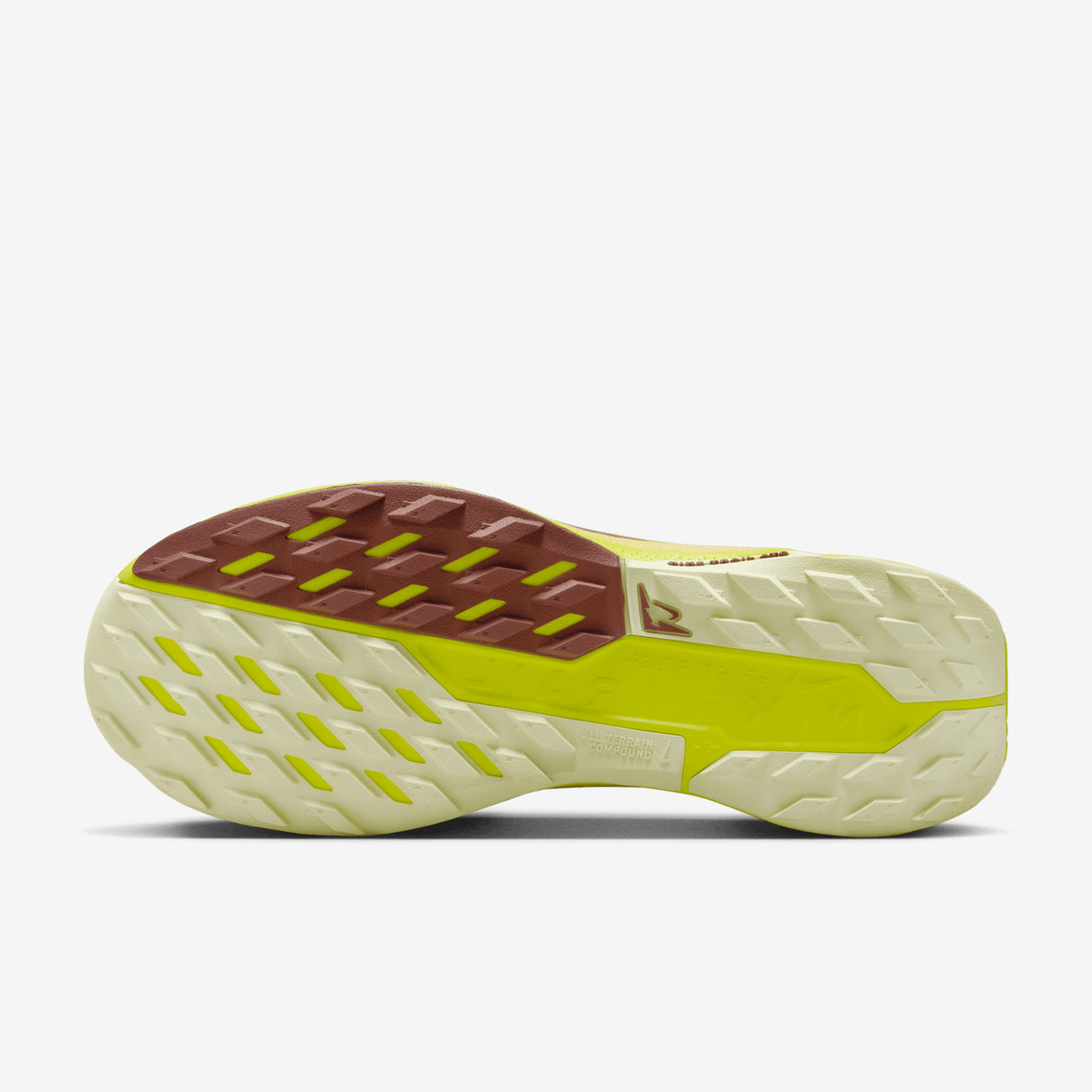 Nike - Pegasus Trail 5 Gore-Tex - Women's