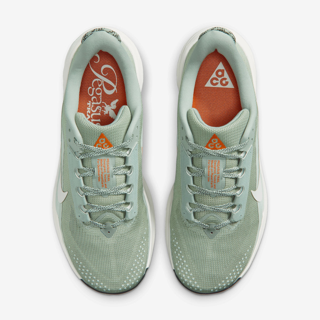 Nike - ACG Pegasus Trail - Homme