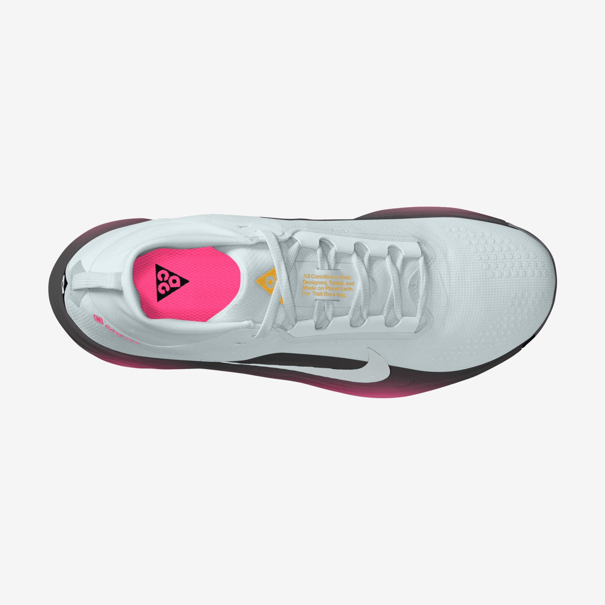 Nike - ACG Pegasus Trail GTX - Homme