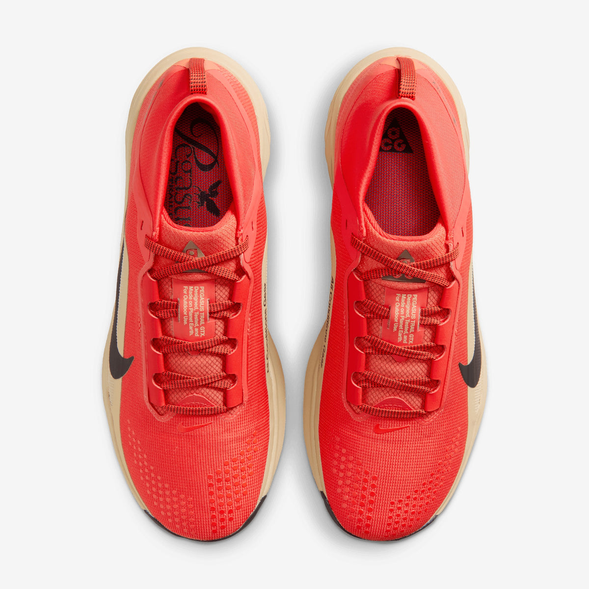 Nike - ACG Pegasus Trail GTX - Homme