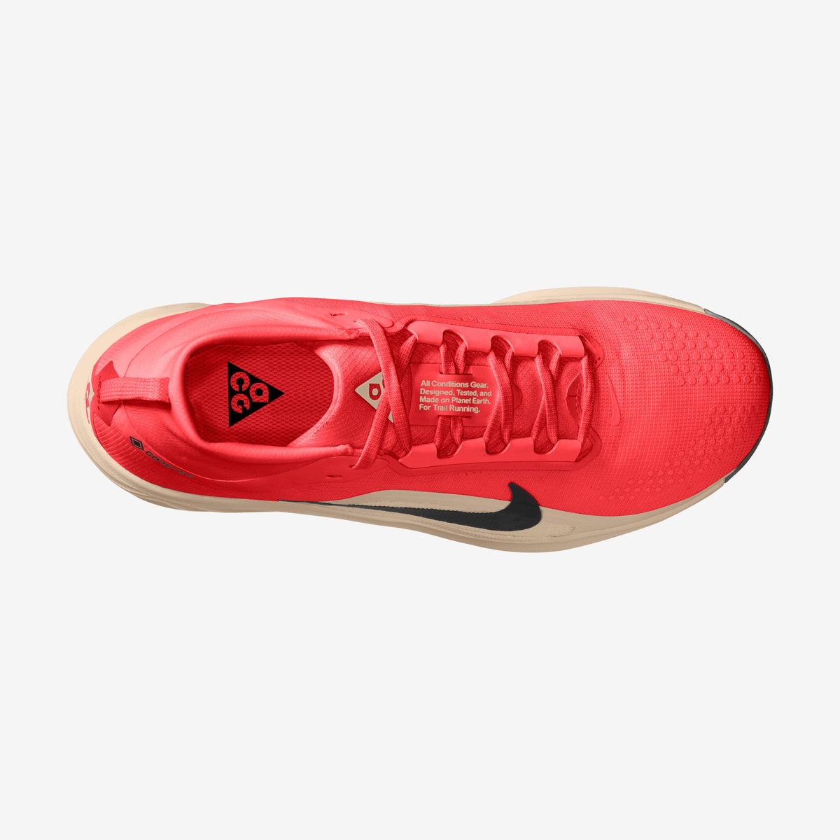 Nike - ACG Pegasus Trail GTX - Homme