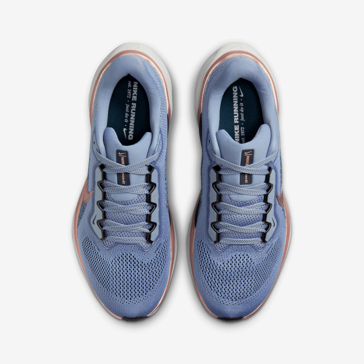 Nike - Pegasus 41 - Femme