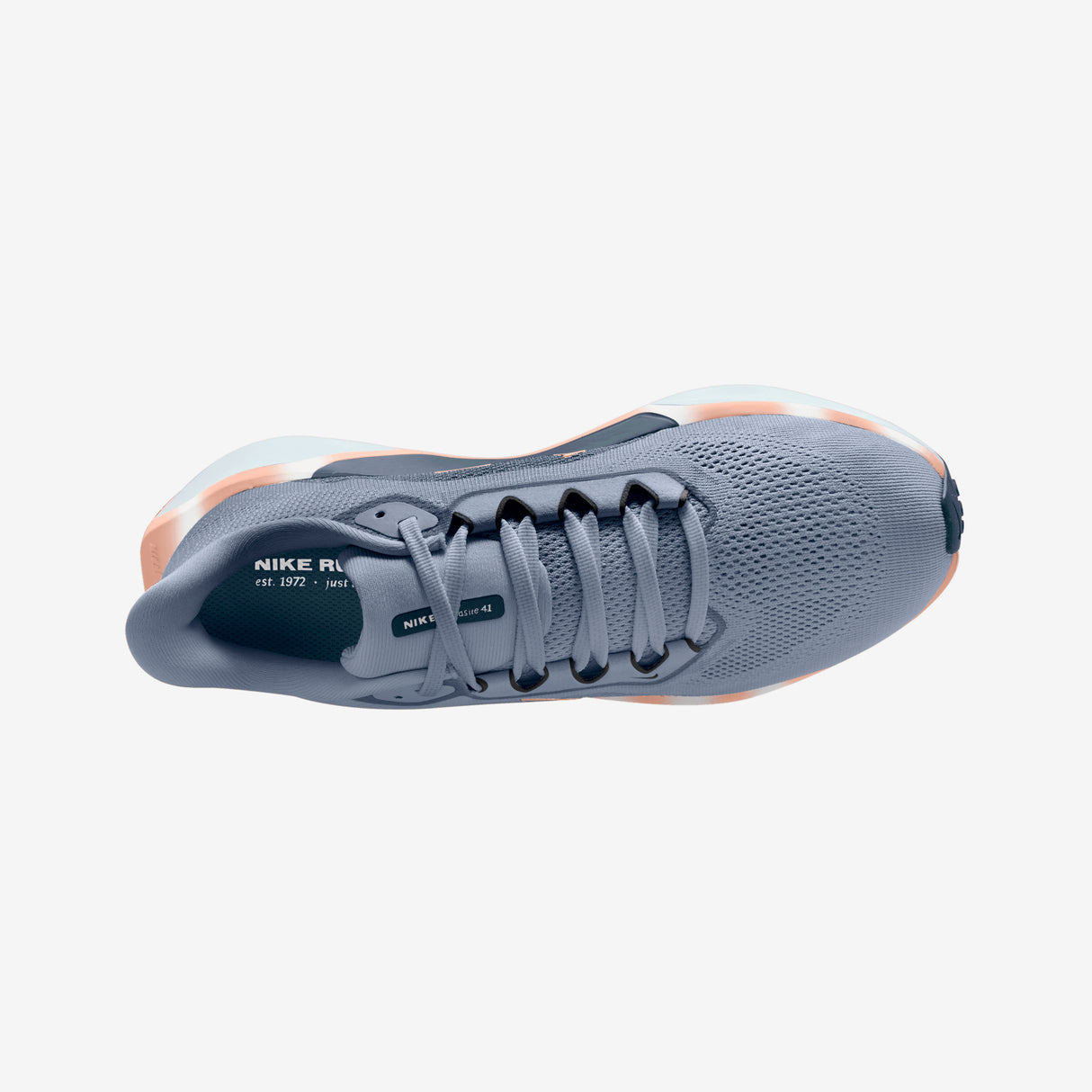 Nike - Pegasus 41 - Femme