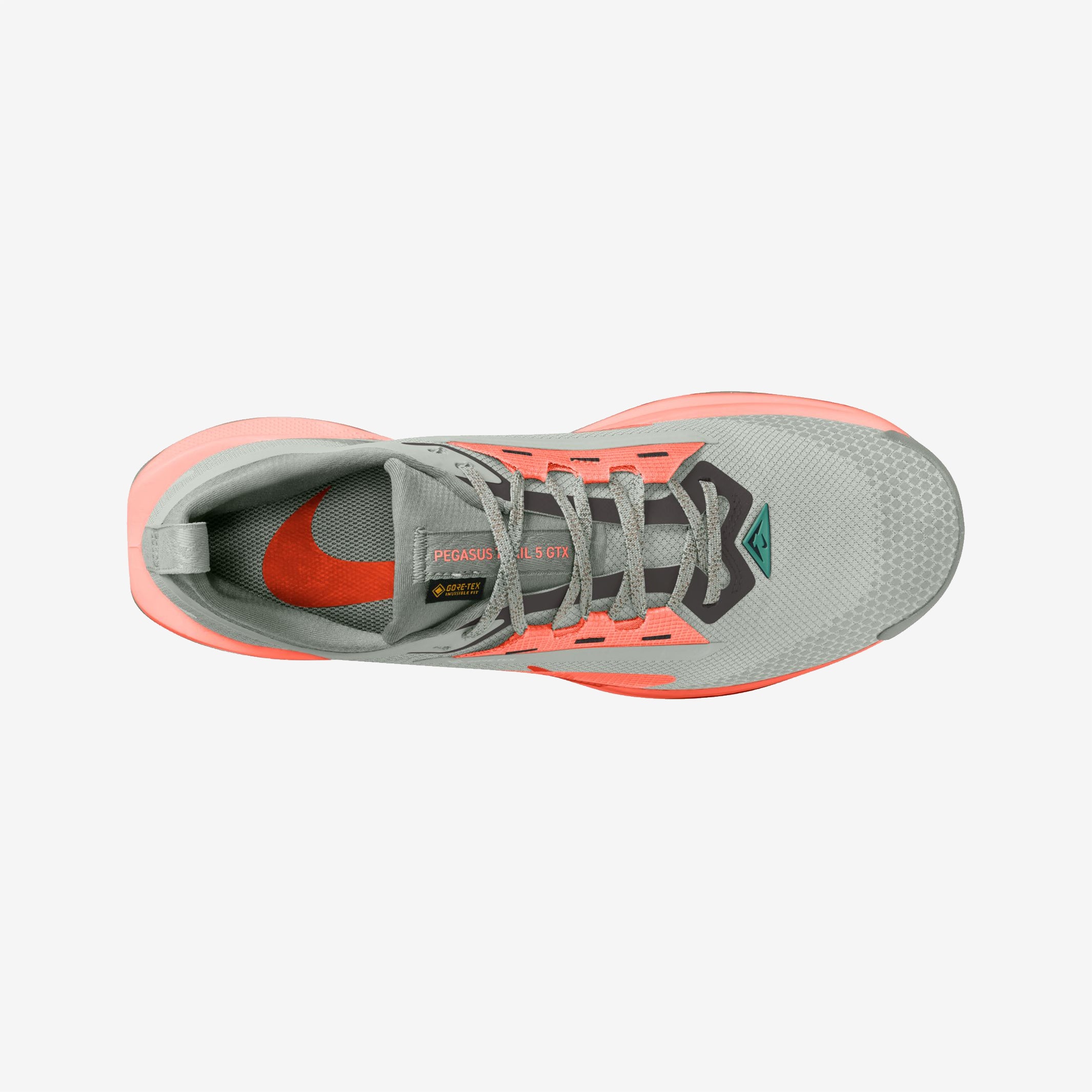 Nike - Pegasus Trail 5 Gore-Tex - Men's – Le coureur nordique