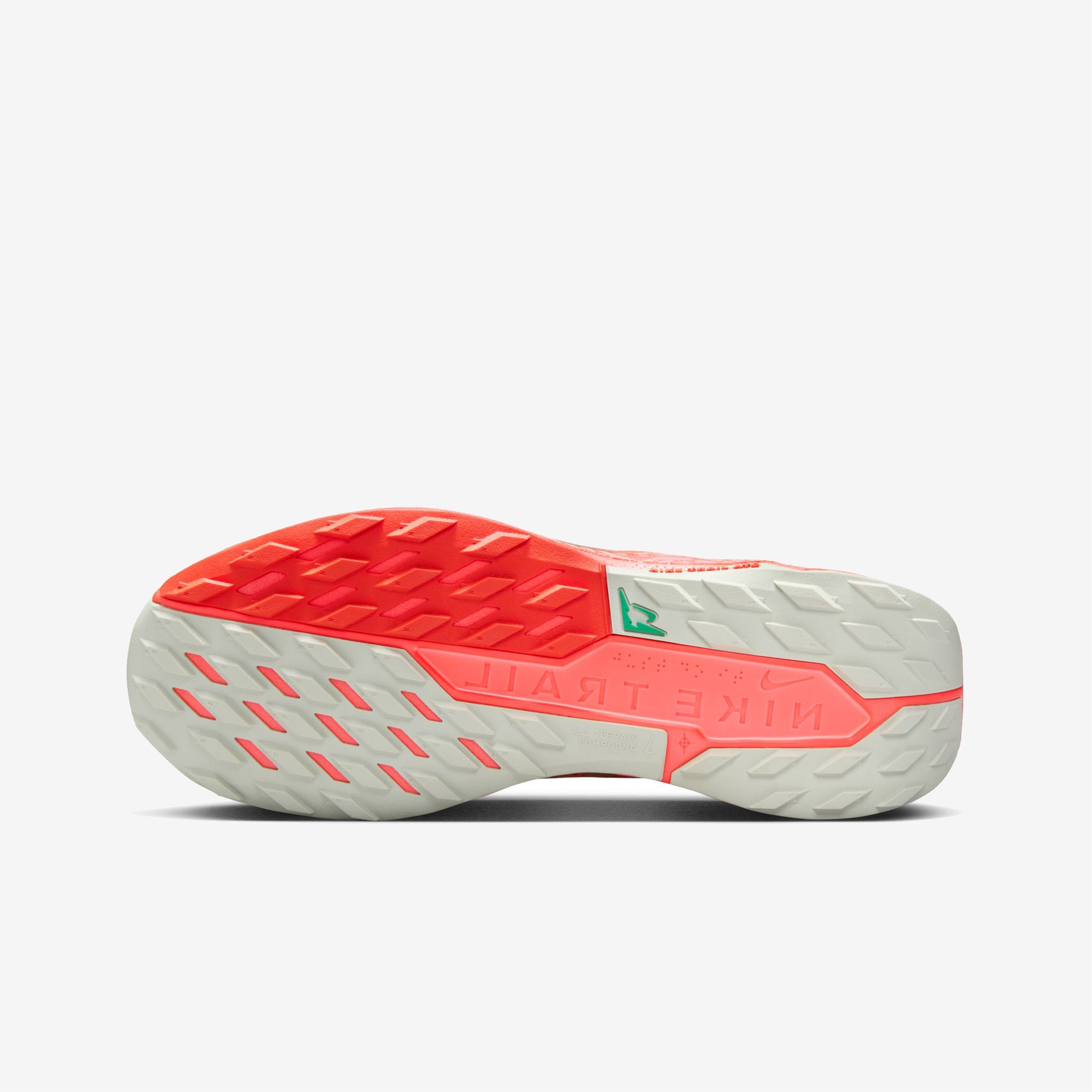 Nike - Pegasus Trail 5 Gore-Tex - Men's – Le coureur nordique