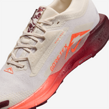 Nike - Pegasus Trail 5 Gore-Tex - Homme