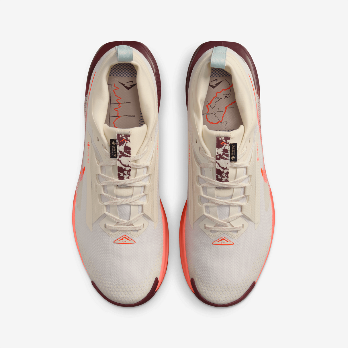 Nike - Pegasus Trail 5 Gore-Tex - Homme