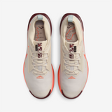 Nike - Pegasus Trail 5 Gore-Tex - Homme