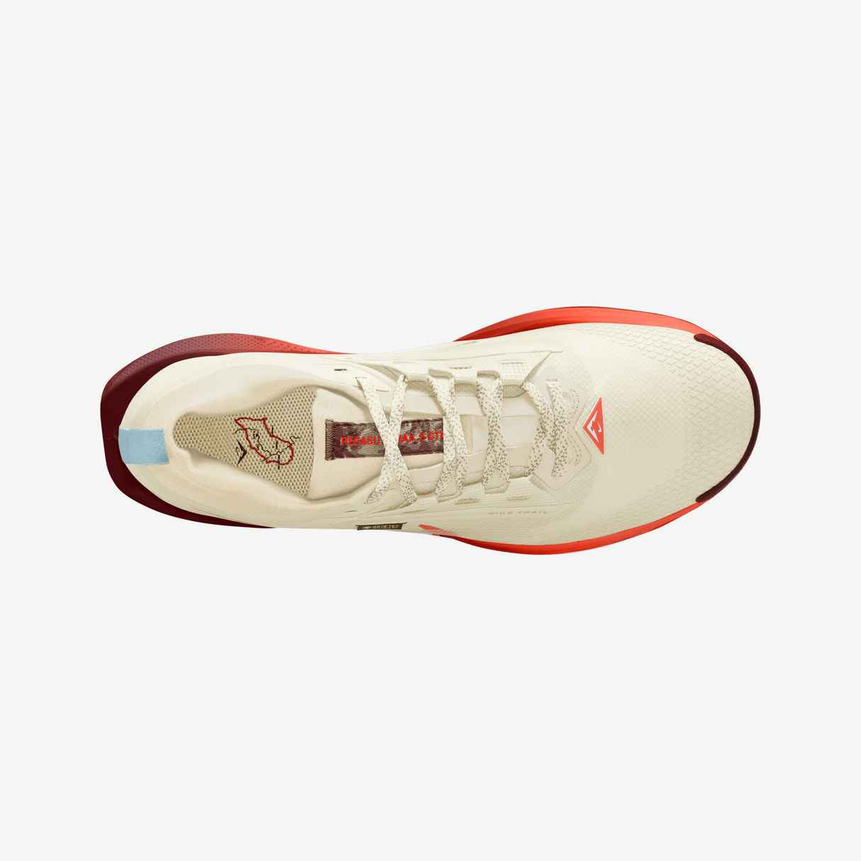 Nike - Pegasus Trail 5 Gore-Tex - Homme