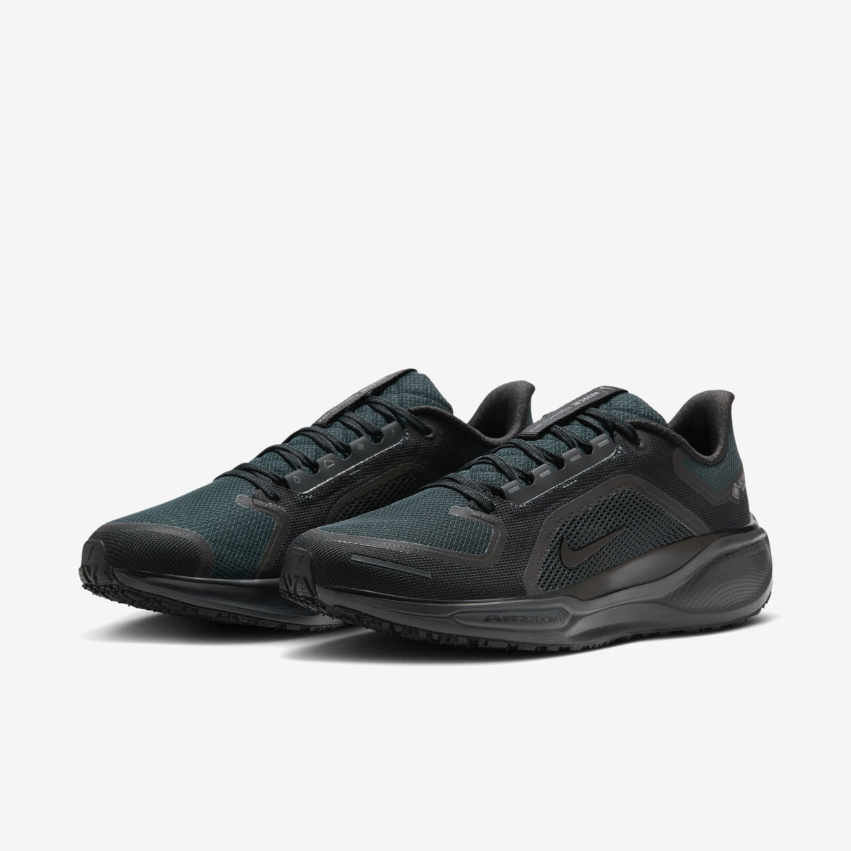 Nike - Pegasus 41 GTX - Men