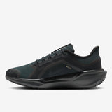 Nike - Pegasus 41 GTX - Men