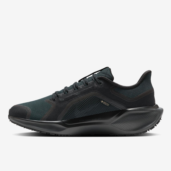 Nike - Pegasus 41 GTX - Homme