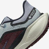 Nike - Pegasus 41 GTX - Men