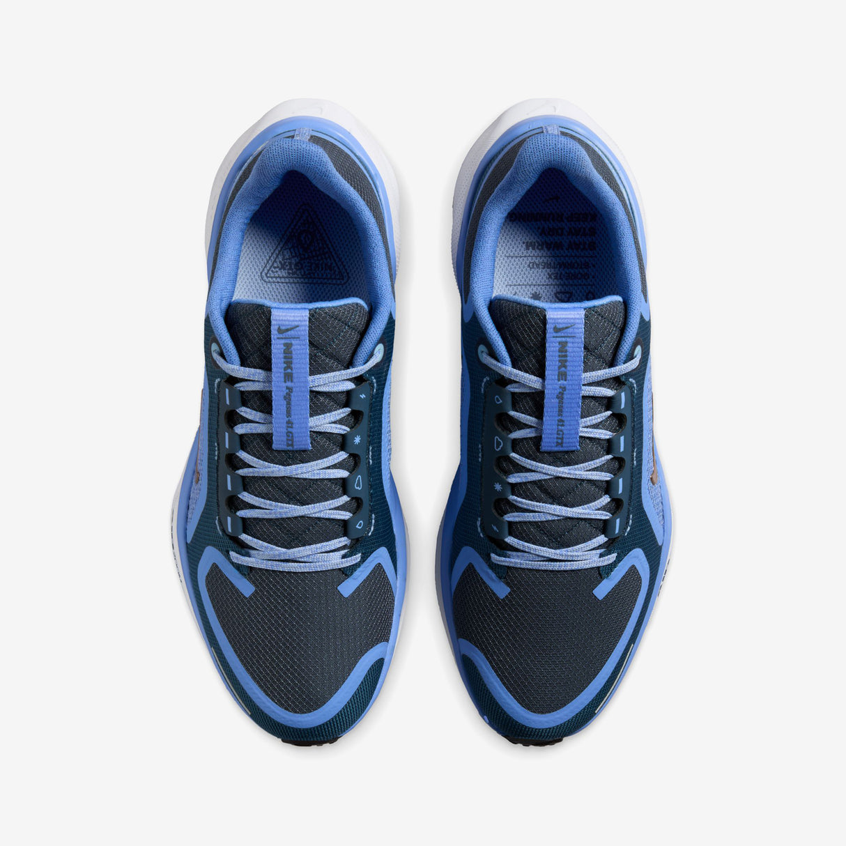 Nike - Pegasus 41 GTX - Women