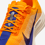 Nike - Pegasus Plus - Homme