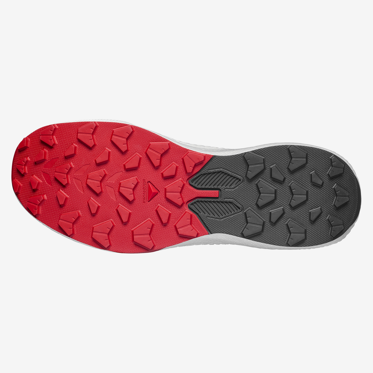 Salomon - Pulsar - Homme