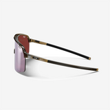 Julbo - Intensity - Spectron HD - Glossy Translucent Marron - Black