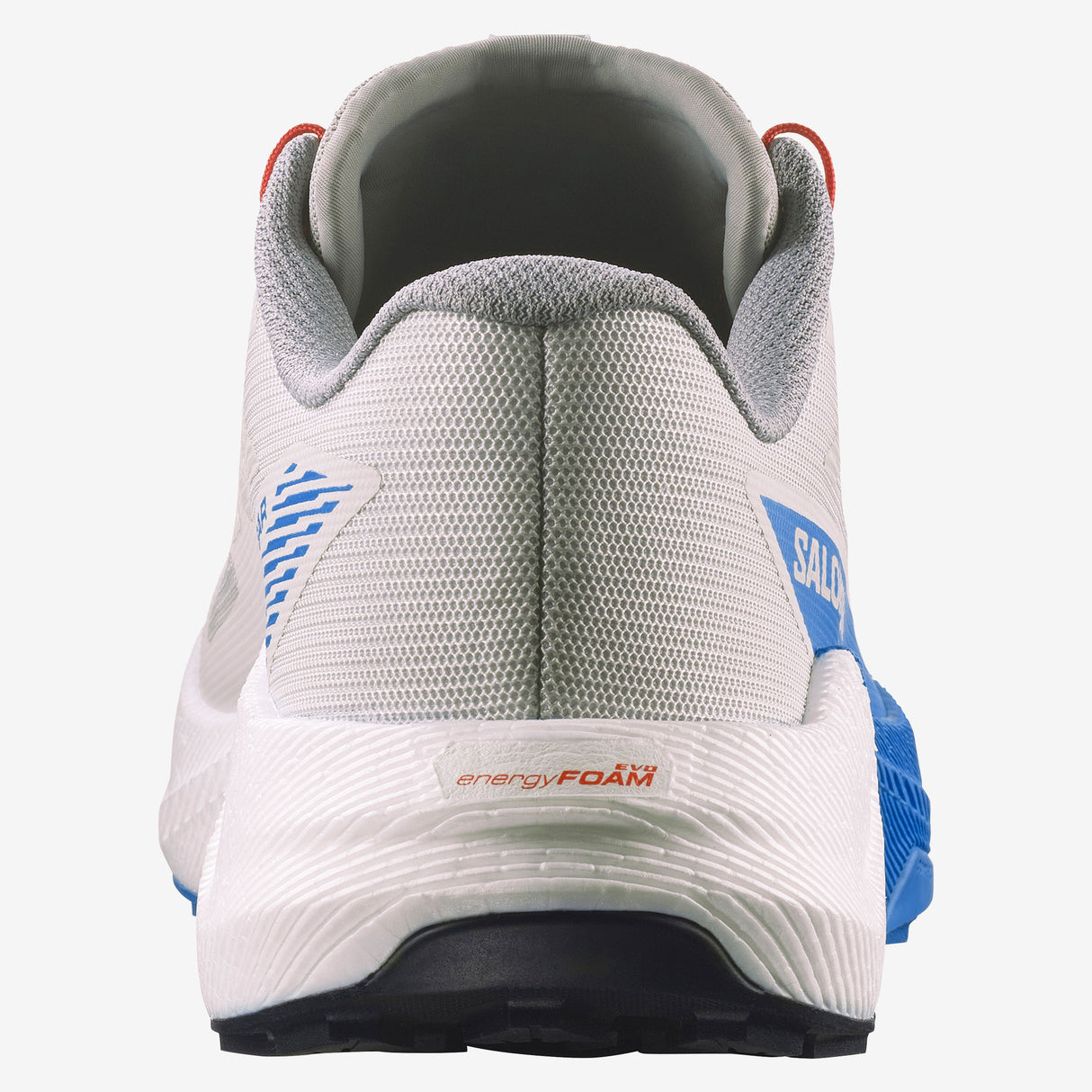 Salomon - Pulsar - Homme