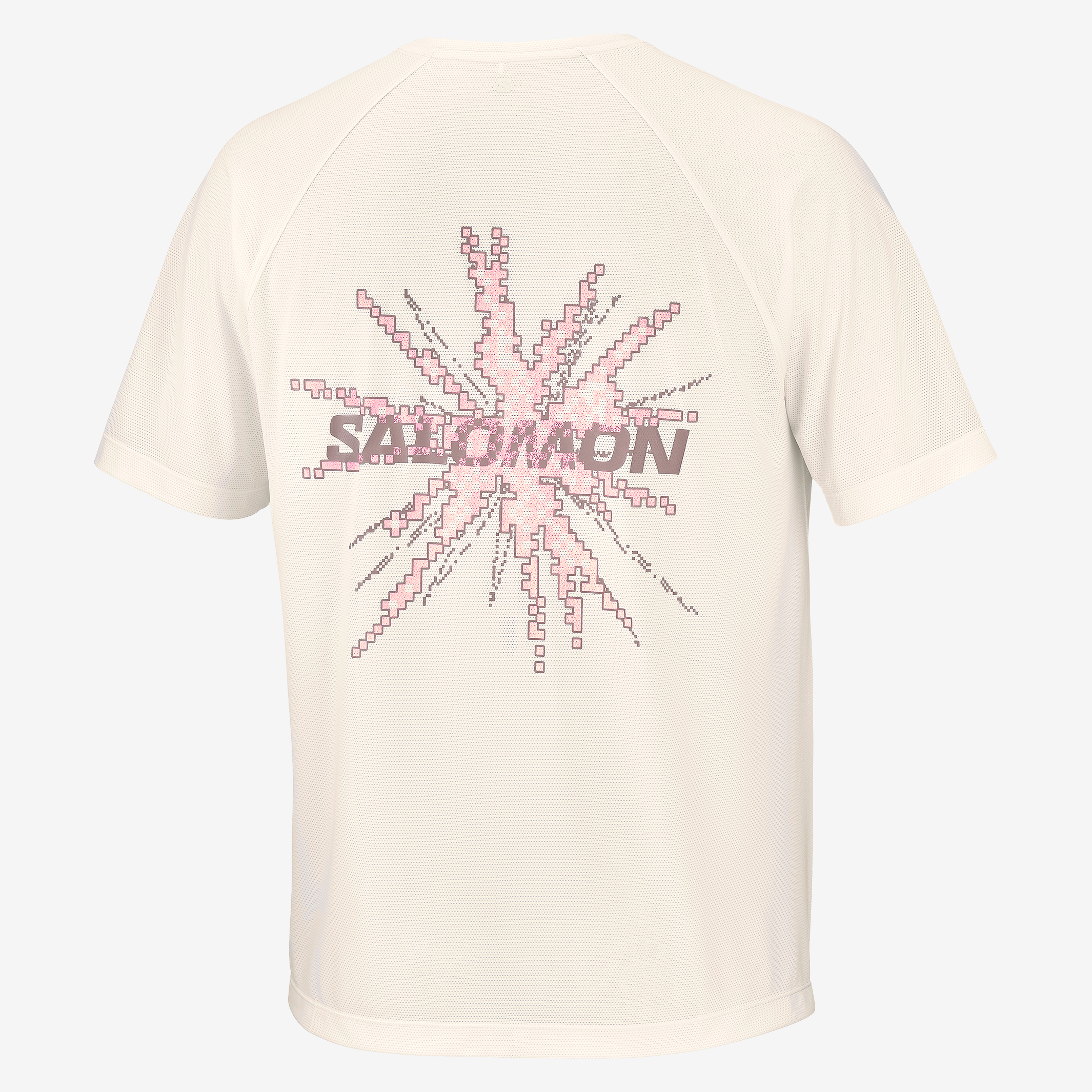 Salomon - Shakeout Core Short Sleeve Tee Graphic - Homme
