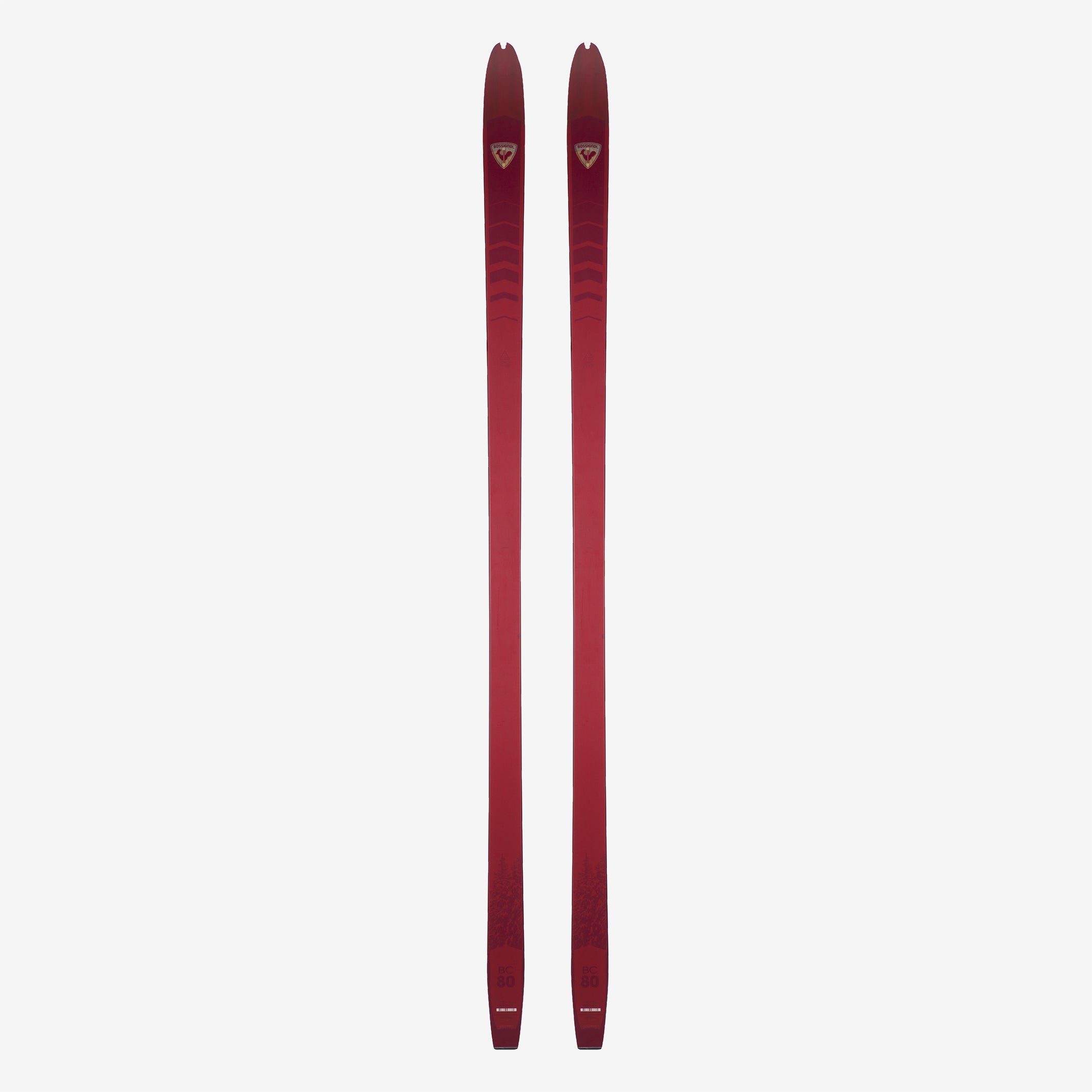 Rossignol - BC 80 POSITRACK backcountry cross-country skis – Le