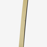 Rossignol - Skis XP 85 POSITRACK