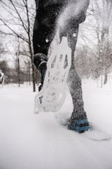 TSL - Symbioz Racing