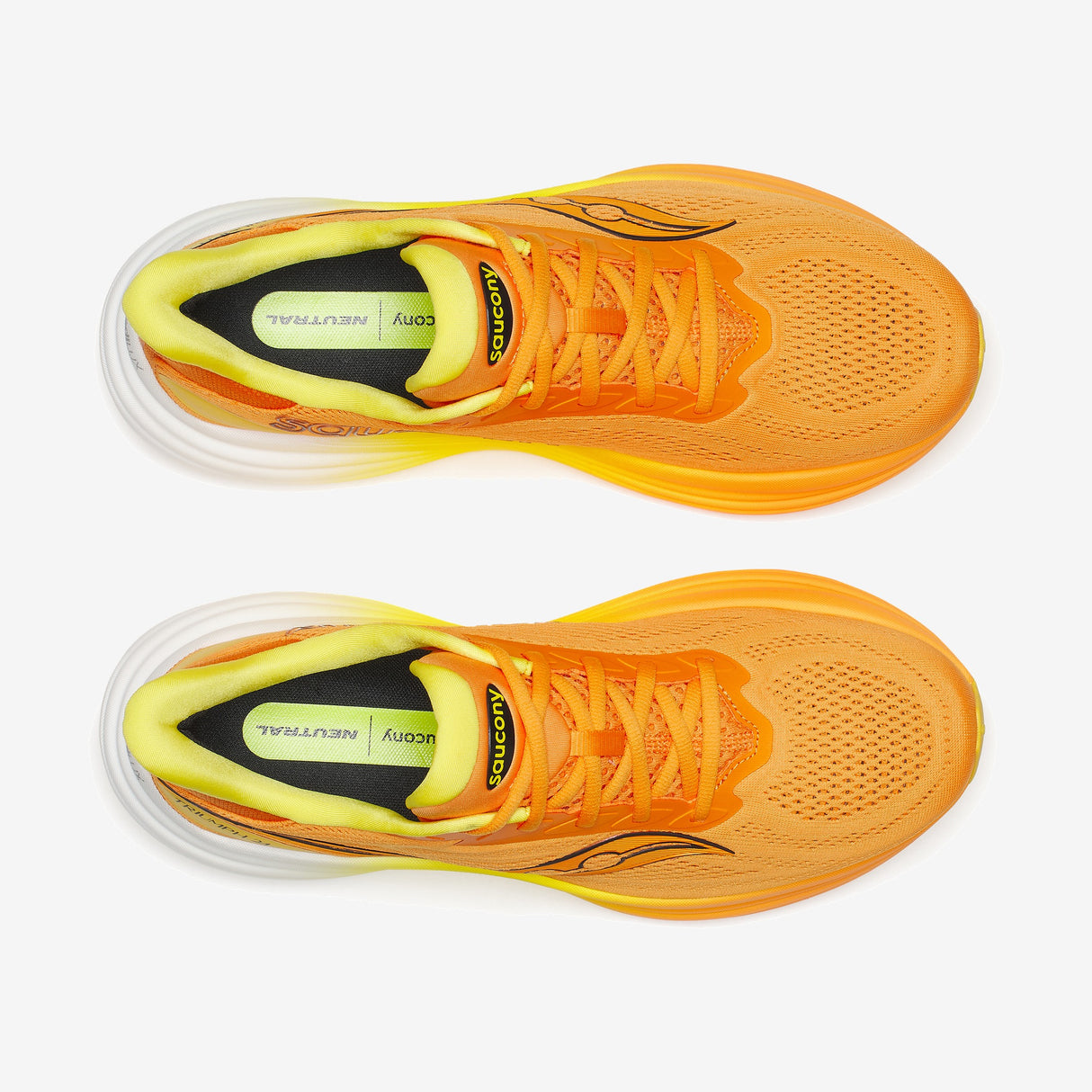 Saucony - Triumph 24 - Homme