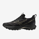 Mizuno - Wave Rider 2 GTX - Women's