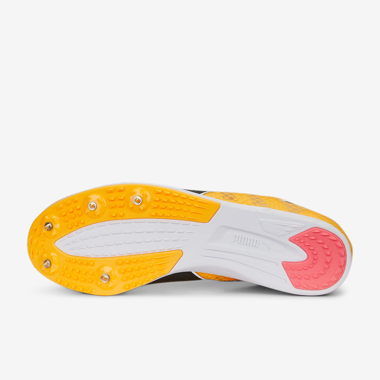 Puma - Evospeed Distance 11 - Unisex