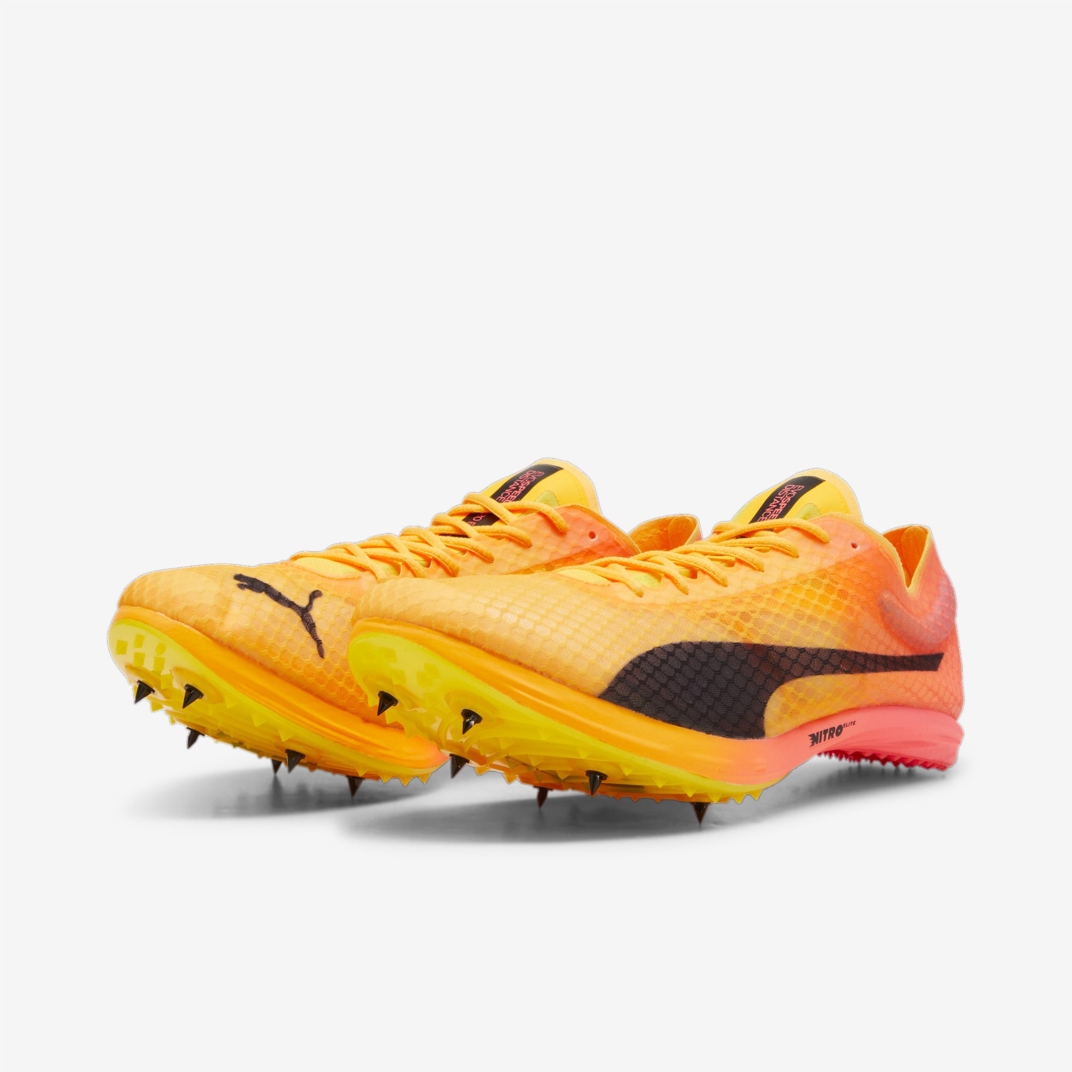 Puma evoSPEED Distance Nitro Elite Unisex M F 800 Regular