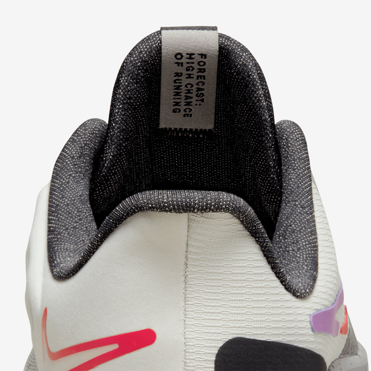 Nike Women's Air Zoom Pegasus 39 Shield