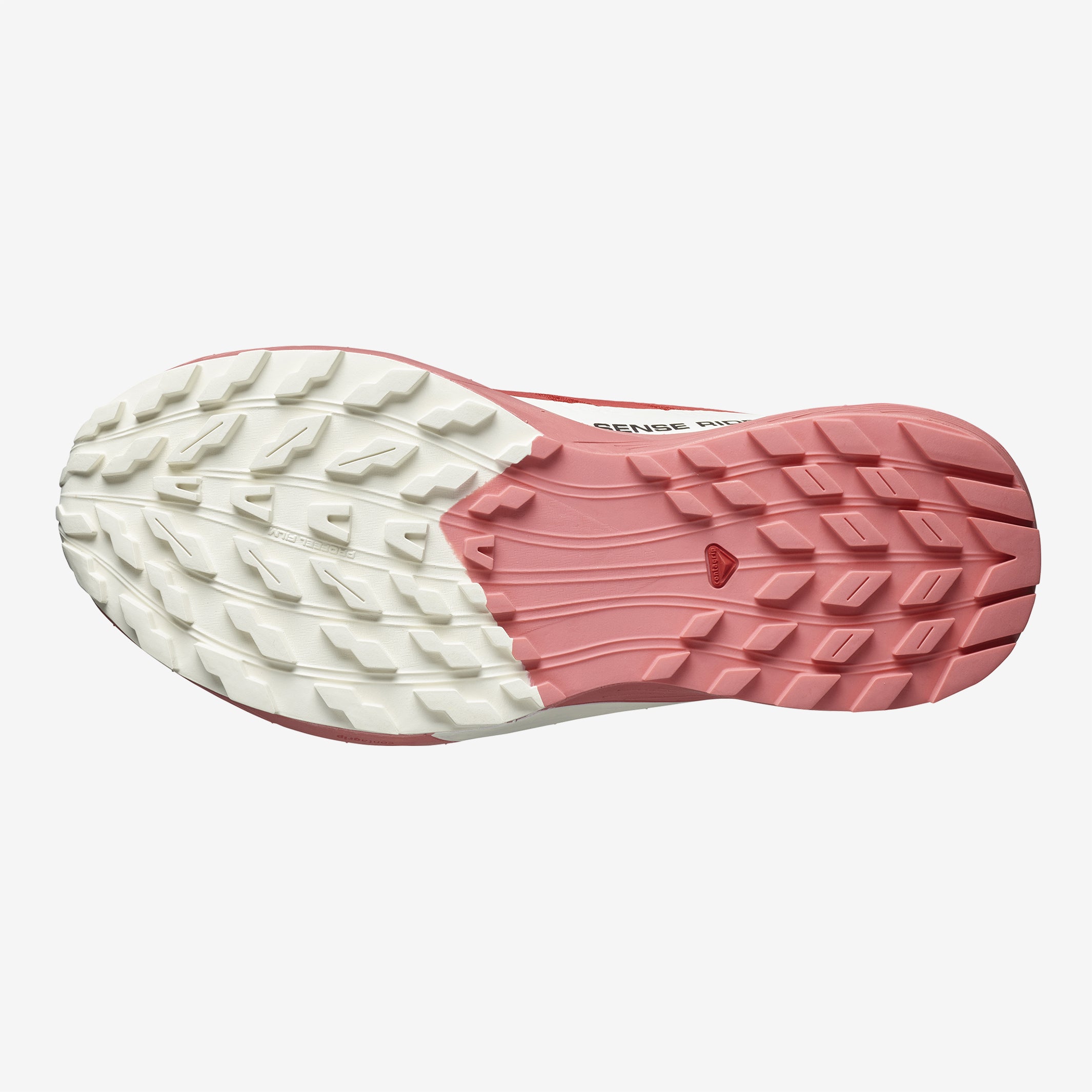 Salomon - Sense Ride 5 - Femme