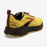 Brooks - Cascadia 16 - Homme - Le coureur nordique