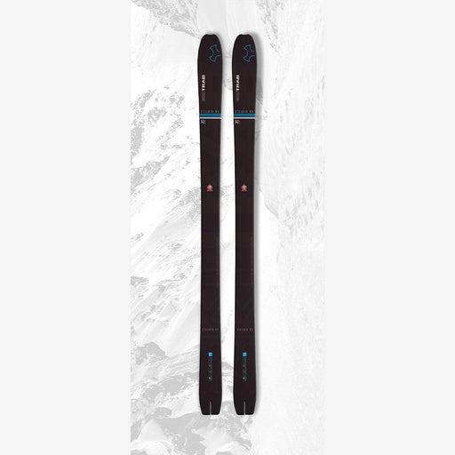 Ski Trab - Bâton Maestro.2 — Le coureur nordique
